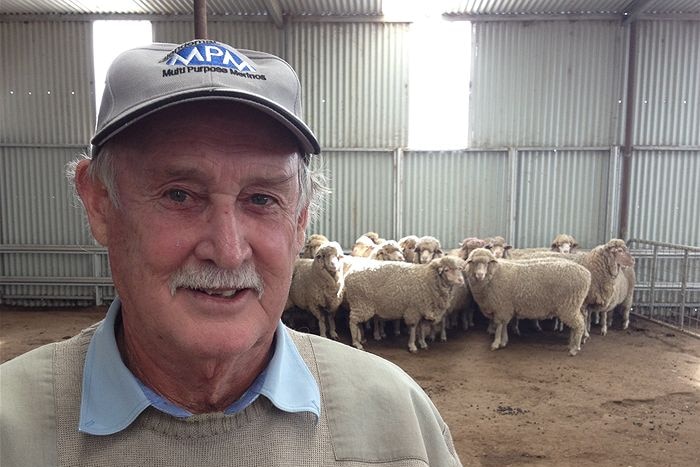 Man in hat smiles at camera inside a shed with sheep