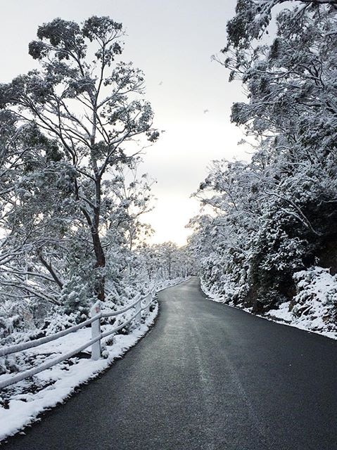 Snow on the way up  kunanyi/Mount Wellington.