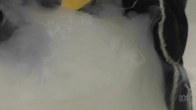 Liquid nitrogen 'smoke' billows out of beaker
