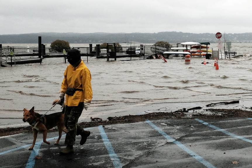 A person walking a dog next to a flooded river