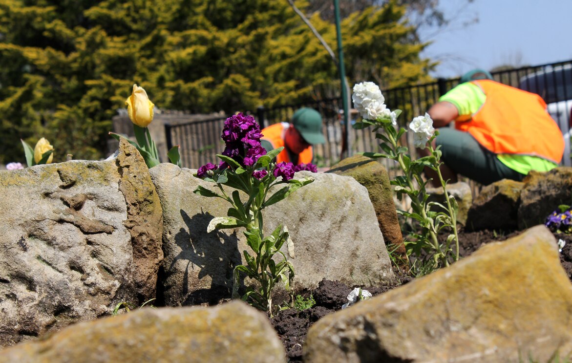 Doing time in the garden Berrima prison provides horticulture skills