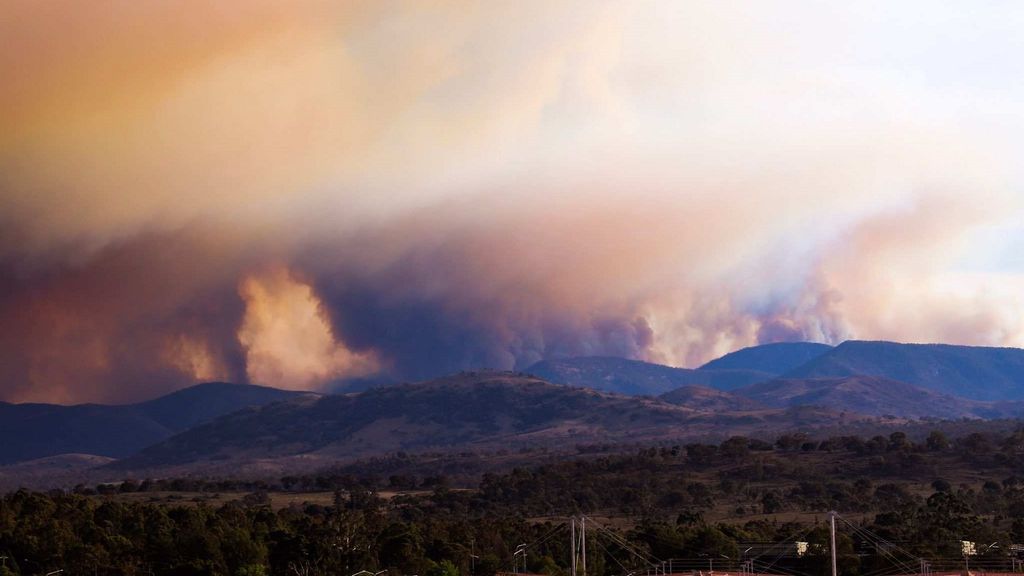 Play Video. Duration: 2 minutes 11 seconds