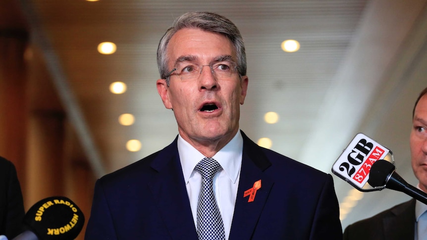 Shadow Attorney-General Mark Dreyfus speaks to reporters