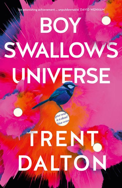 Boy Swallows Universe by Trent Dalton book cover featuring a blue wren in front of a colourful background with white holes