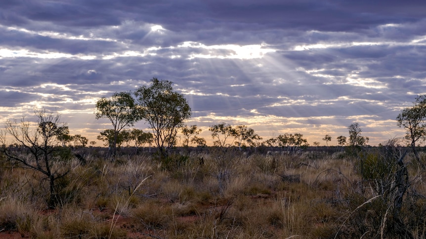 Sacred site gen Singleton Station