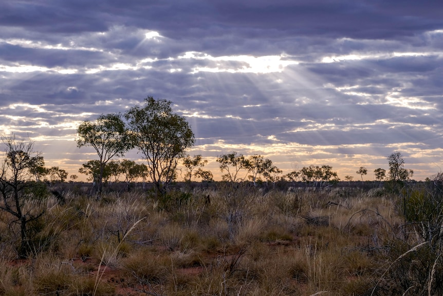 Sacred site gen Singleton Station