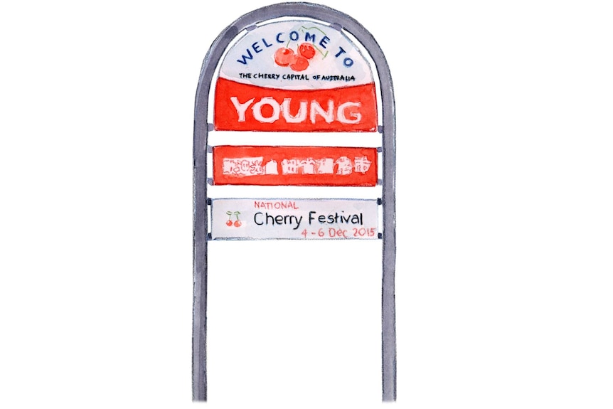 An illustration shows a sign reading, 'Welcome to Young, the cherry capital of Australia'.