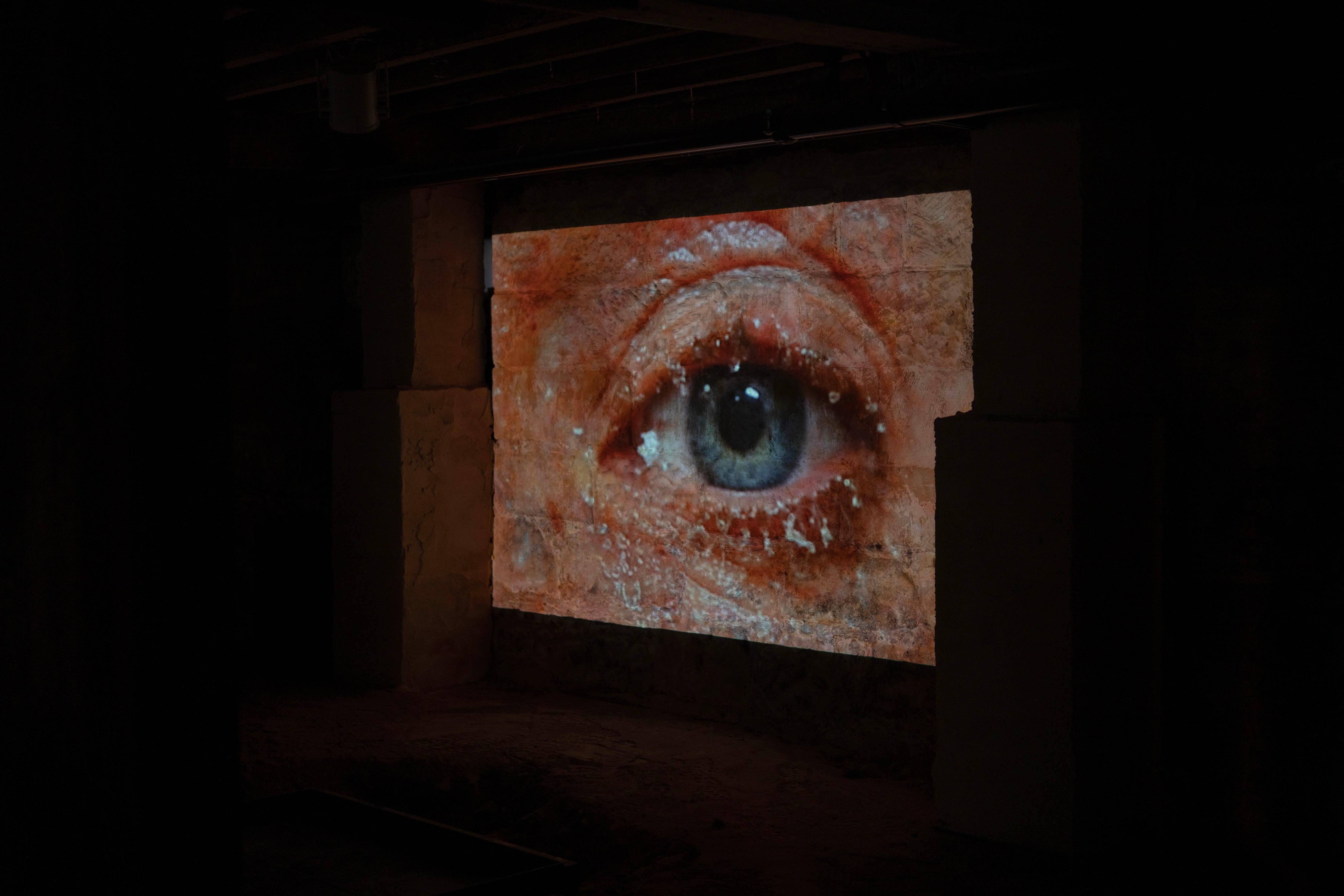 A large eye on a screen in a gallery.