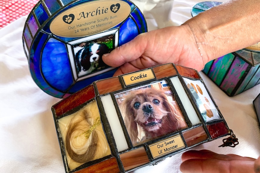 a hand holding a small memorial box containing dog ashes