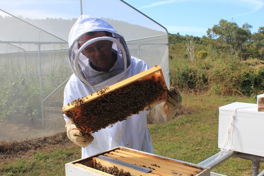 George Wilson is inspecting his hives