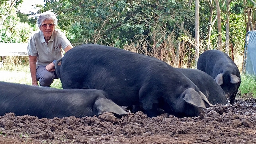 Pig breeder Christina della Valle kneels beside some of large black pigs in the paddock.
