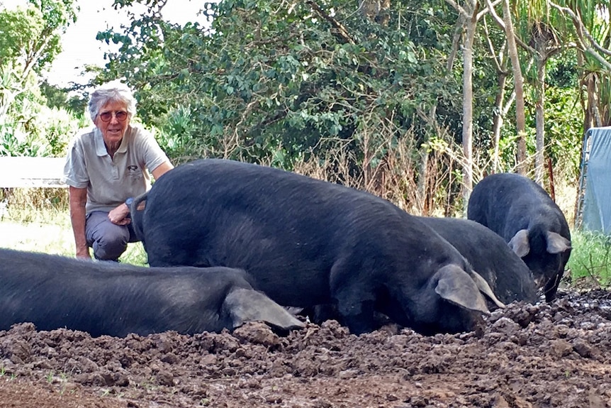 Pig breeder Christina della Valle kneels beside some of large black pigs in the paddock.