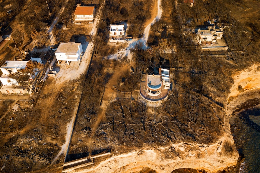 View from above of burnt out trees among deserted houses