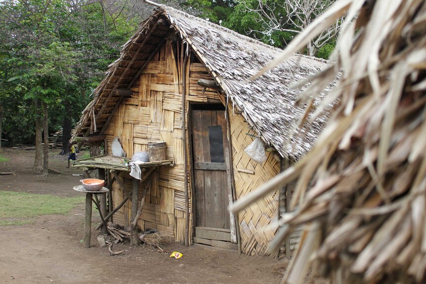 A small hut-like house in a village in Vanuatu.