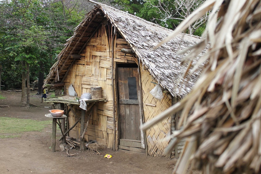 A small hut-like house in a village in Vanuatu.