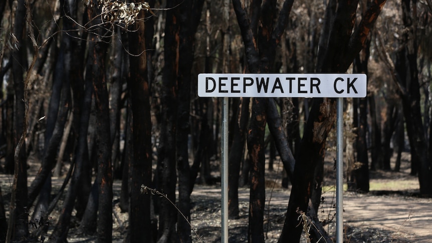 Deepwater Creek sign in front of charred trees