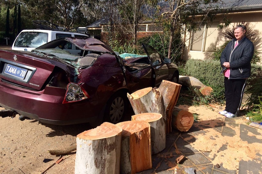 Teresa Taylor looks at her flattened car