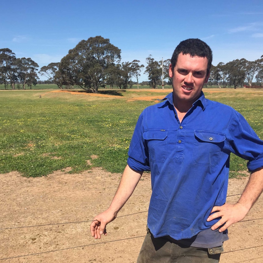 Western Victoria farmer Stephen Rich will re-apply to remove 34 Black Box trees from his Kaniva property.