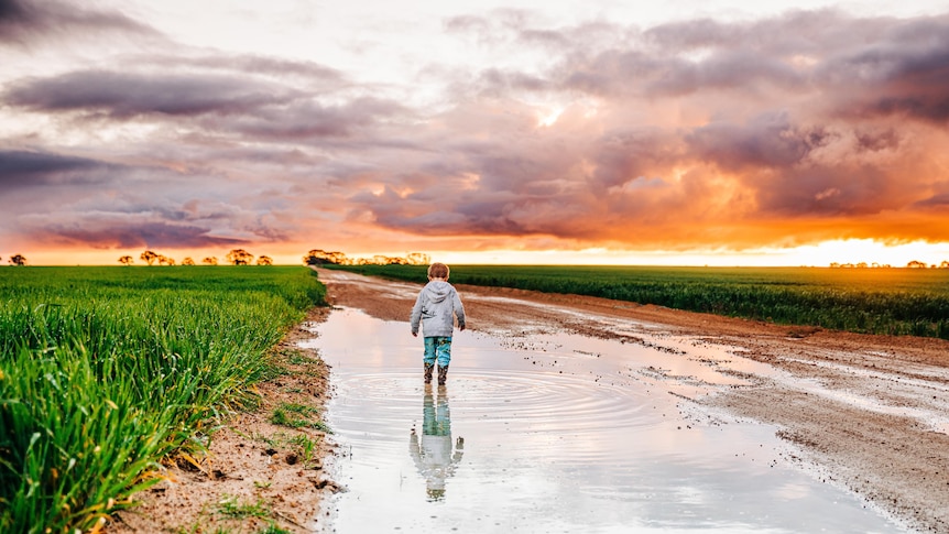 A young boy stand in puddle on farm at sunset
