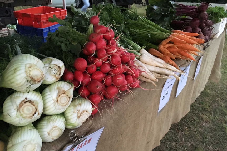 A range of vegetables on display at a farmers market