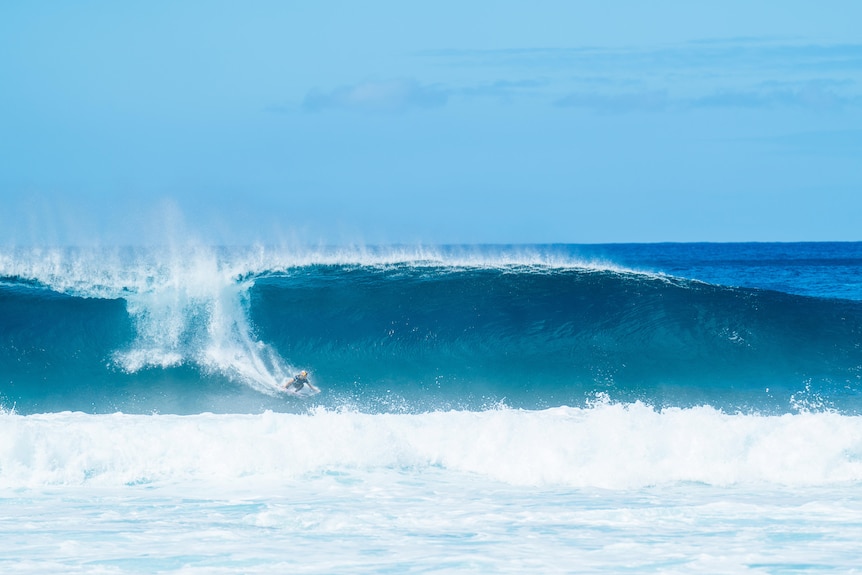 A surfer carves down a big wave.