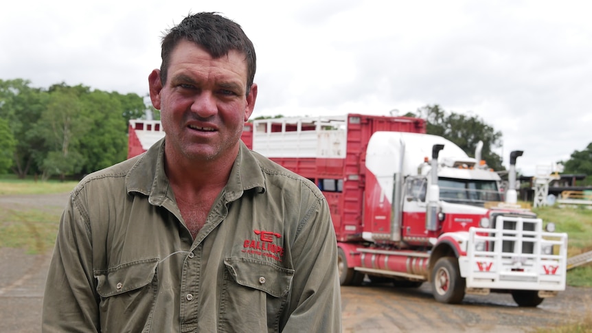 A man in a brown shirt looks at the camera, in the background a red and white cattle truck can be seen. 