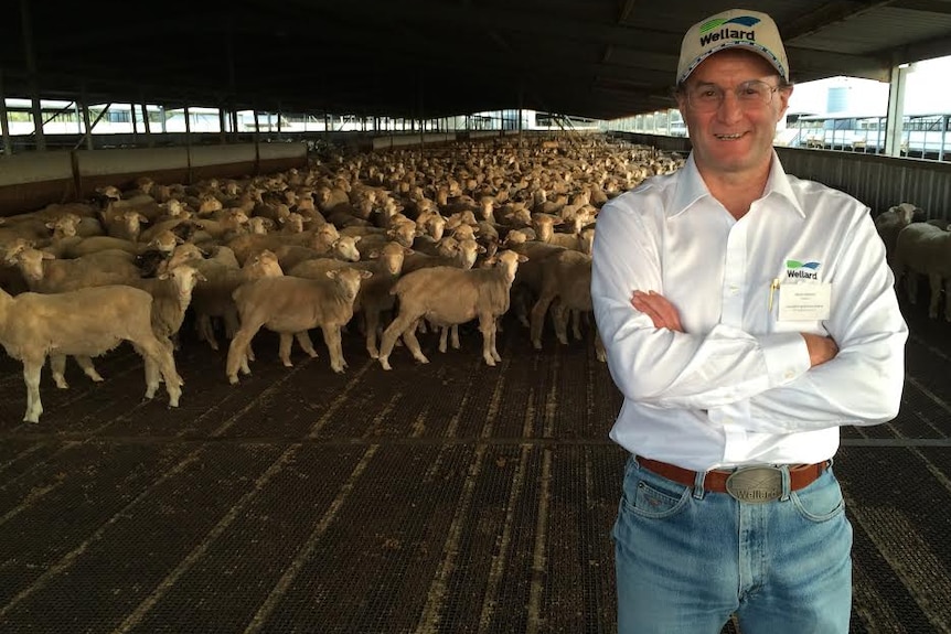 A man stands in front of some sheep inside a shed.