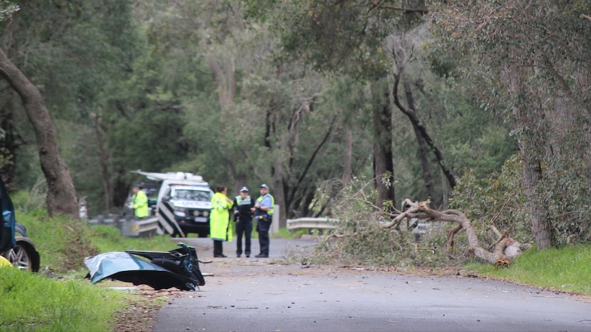 A crashed car to the side of a country road, with police officers and vehicles in the background, surrounded by bushland.