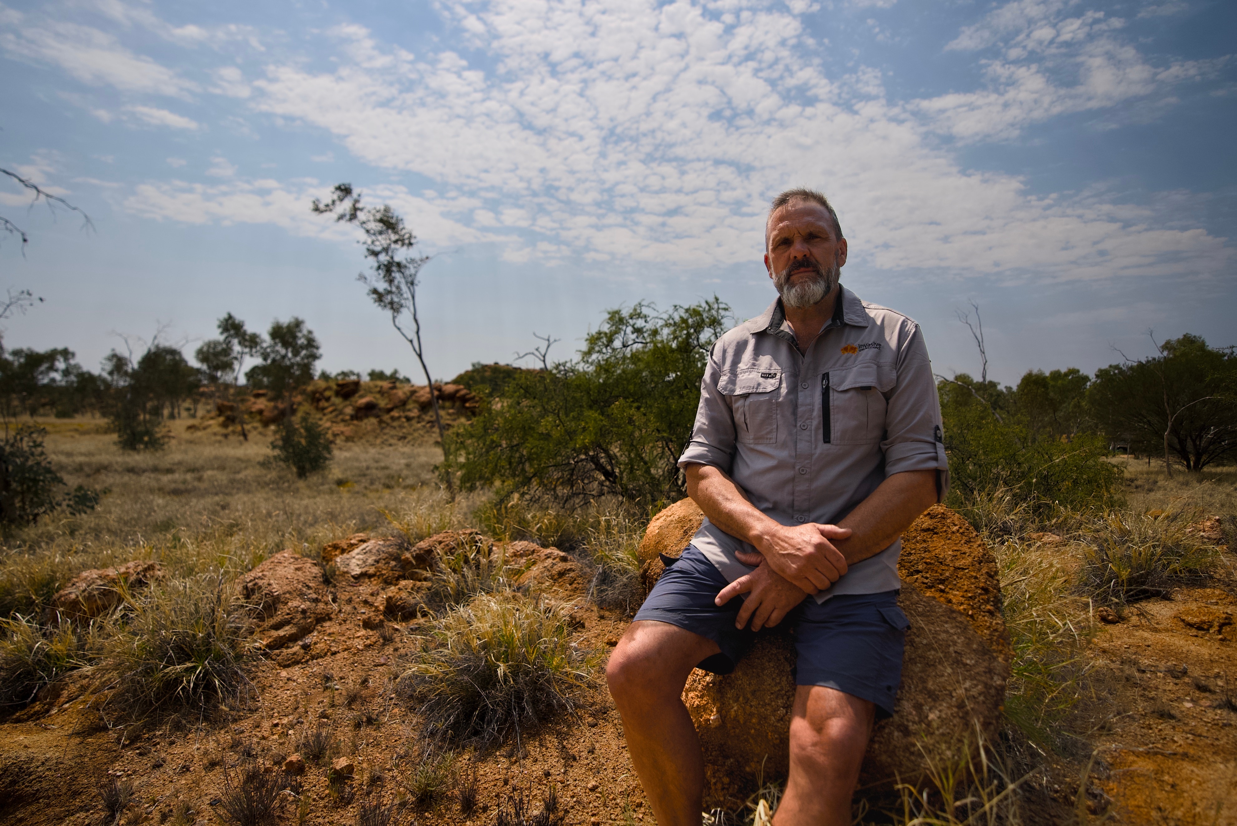 Un hombre está sentado sobre una roca con un arbusto del desierto detrás de él. 