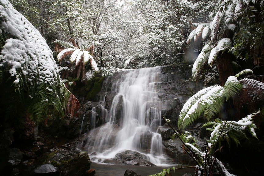 A waterfall flows down, blanketed with snow.