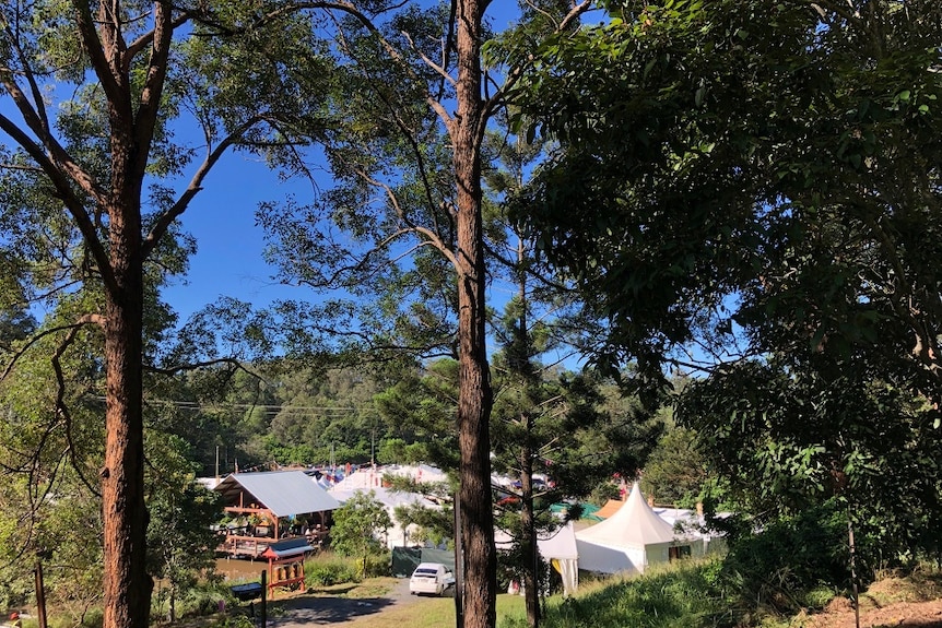 An image of a park, framed by trees