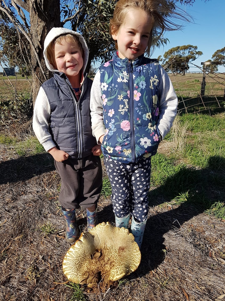Mac and Matilda found this giant mushroom on a farming property at Beulah, in the the southern Mallee.