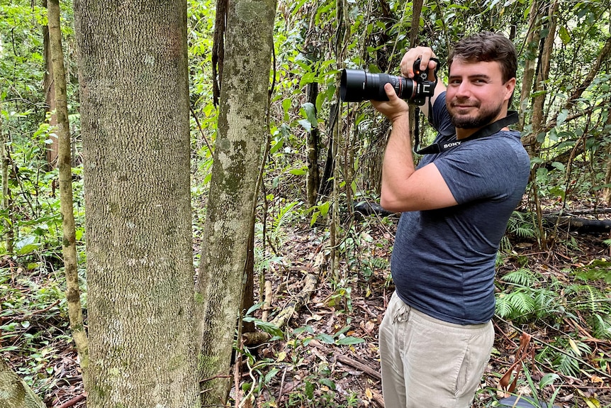 Man photographing a tree.