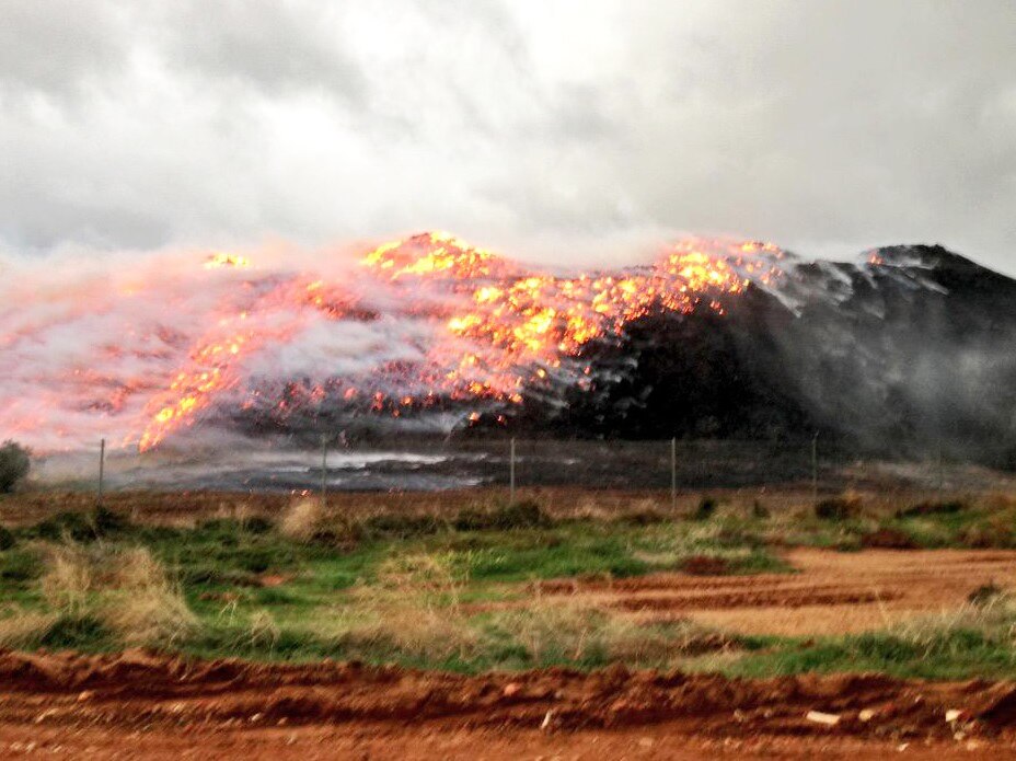 Wingfield 5013 Location ABC News