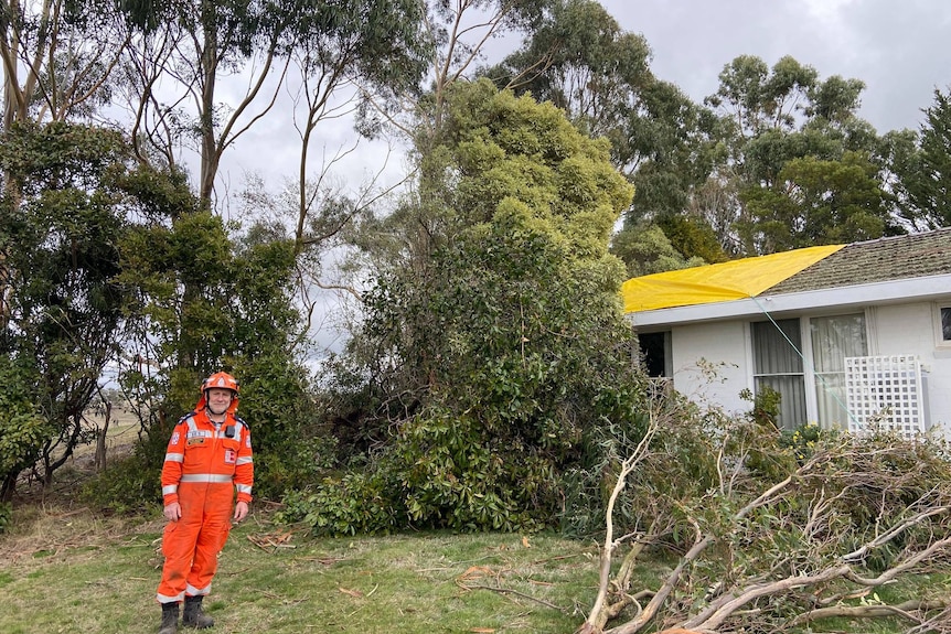 man standing next to fallen tree and tree which has fallen on a house