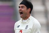 James Anderson clenches both fists and screams in delight