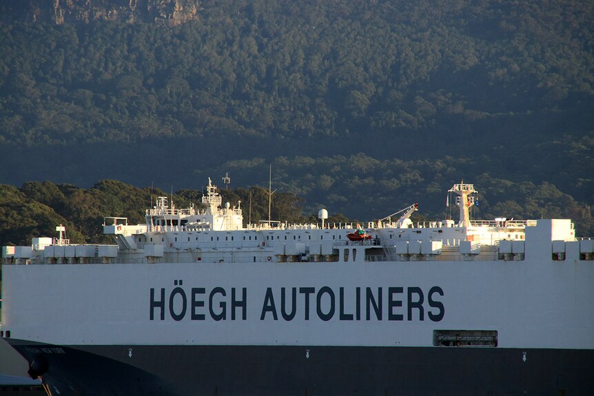 A bulk carrier ship with the Hoegh Autoliners branding on its side docked at Port Kembla with the Illawarra escarpment behind.