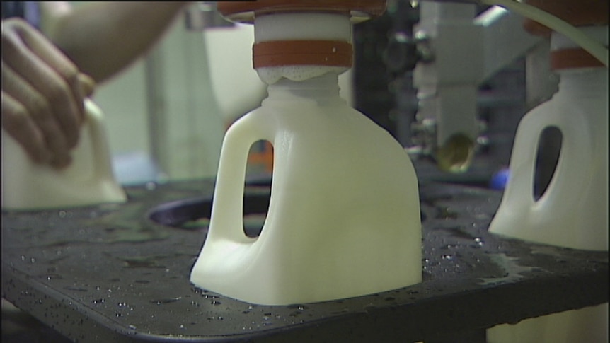 Milk being bottled in plastic bottles