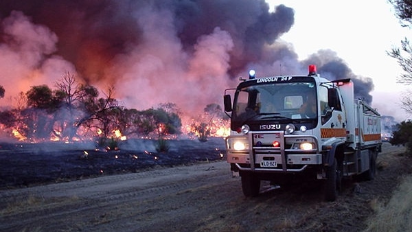 Wangary bushfire