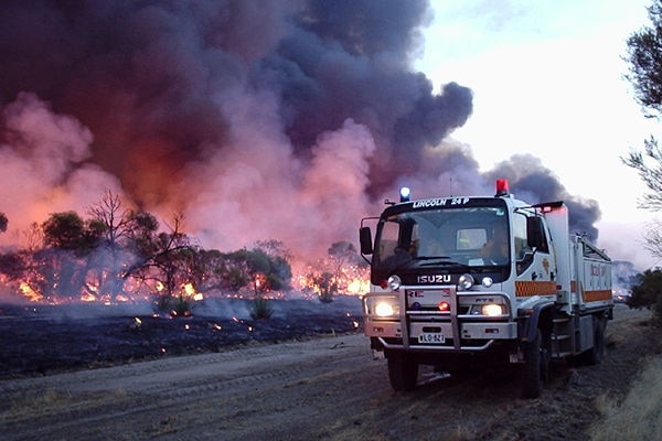 A CFS fire engine fighting near a bushfire.