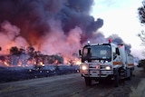 Wangary bushfire