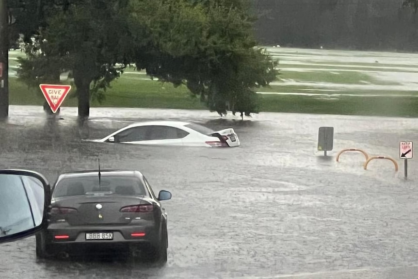 black car and white car under water
