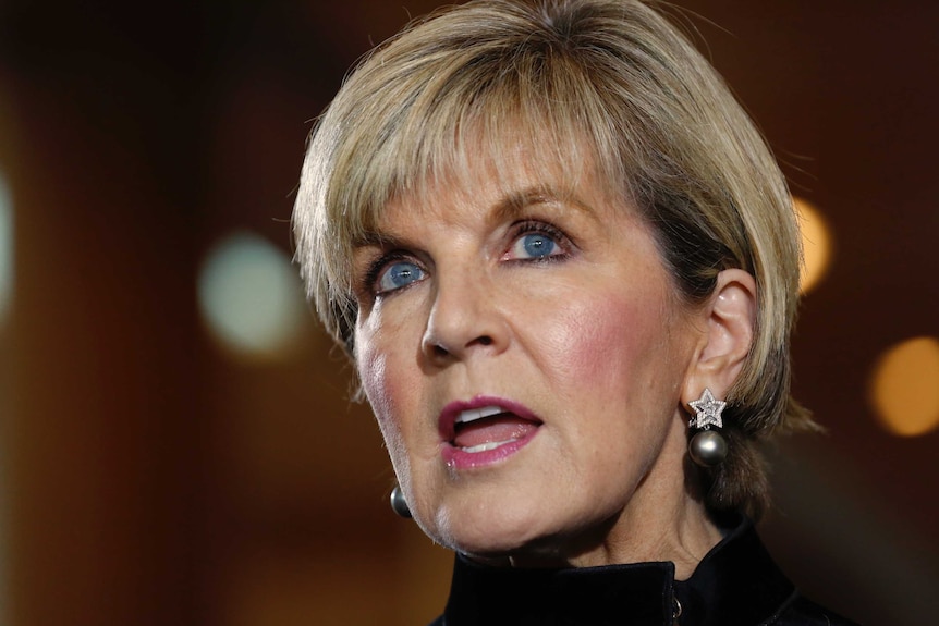 Julie Bishop speaks to the media