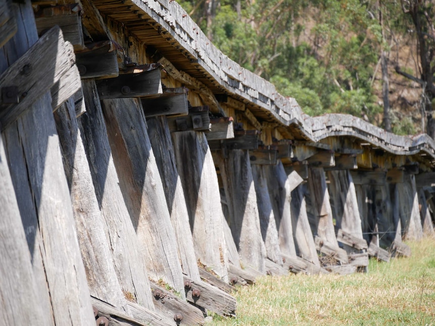 Close up on the wooden struts of a timber rail bridge that is raised a metre or so off the ground.