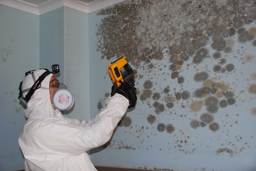 A person in all white protective gear treating a big area of black mould on the wall of a house