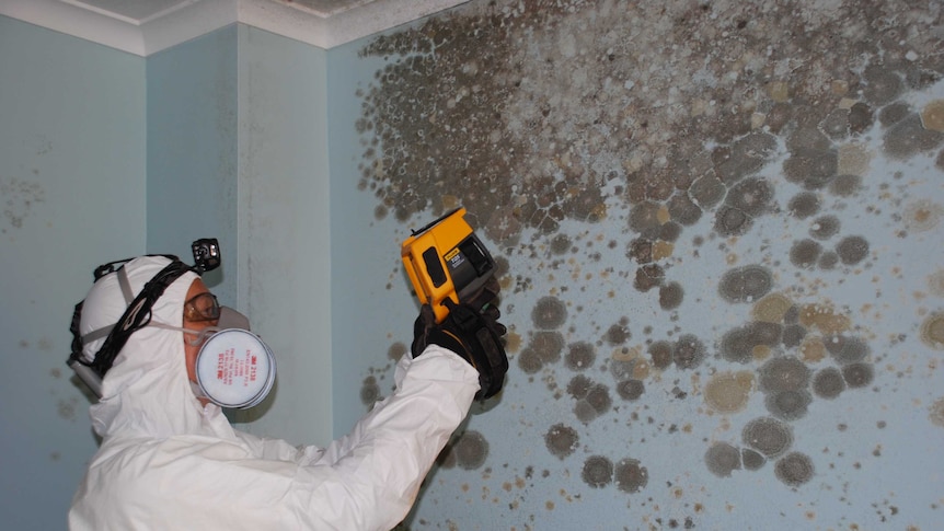 A person in all white protective gear treating a big area of black mould on the wall of a house.