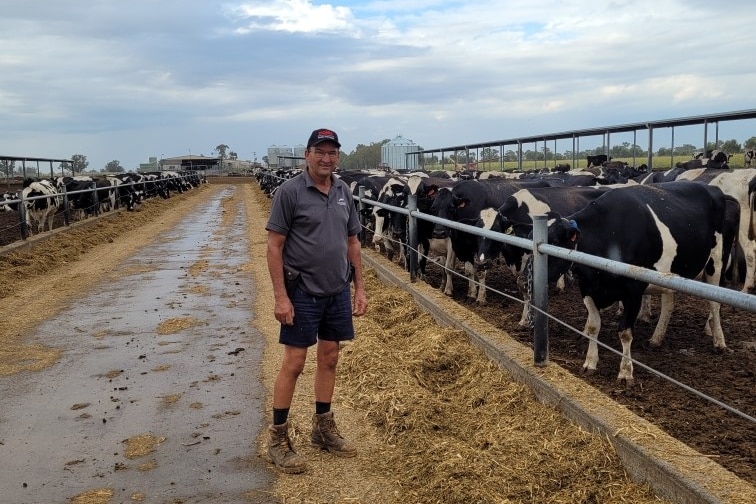 Peter Middlebrook stands next to paddock full of black and white dairy cows. 