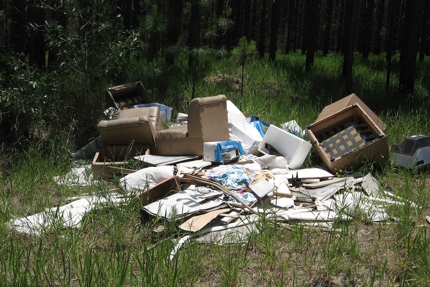 assorted rubbish including armchairs and a TV is strewn through out a clearing in a forestry plantation