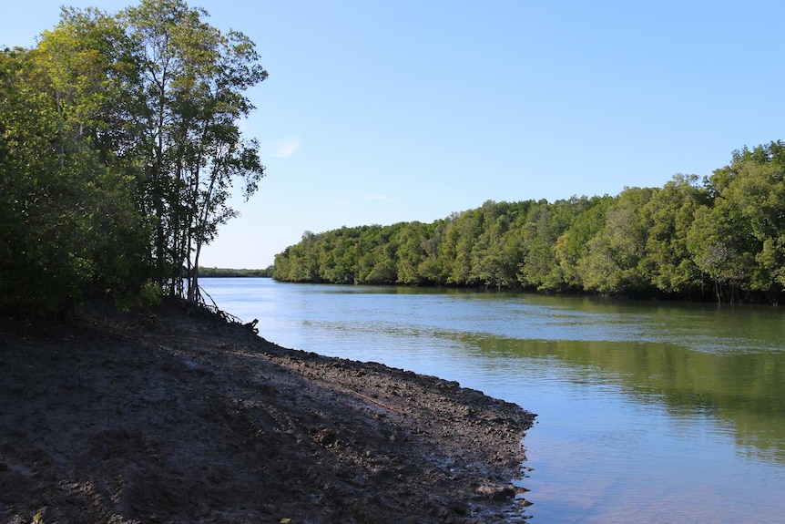 Saltwater Arm, where Noel Ramage lost his life while on a crabbing trip with a mate.