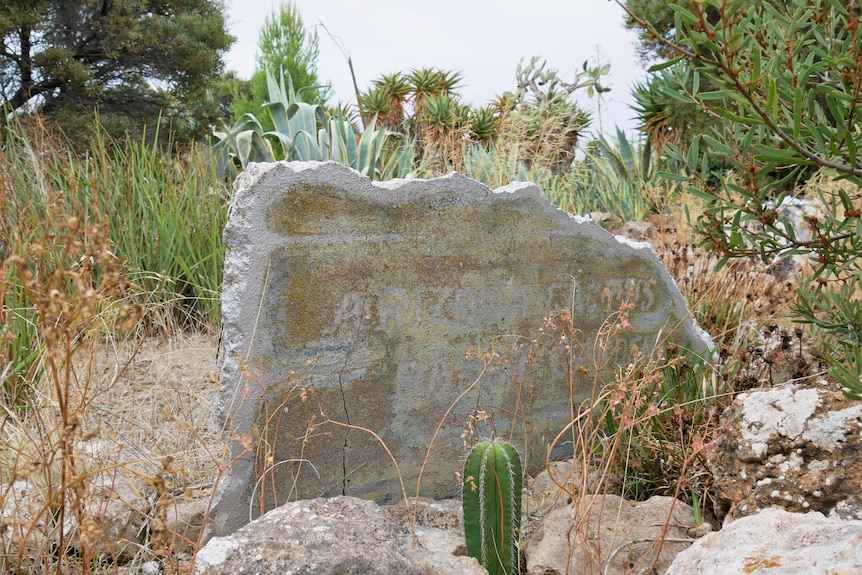 A concrete sign saying Arizona Cactus Ranch.
